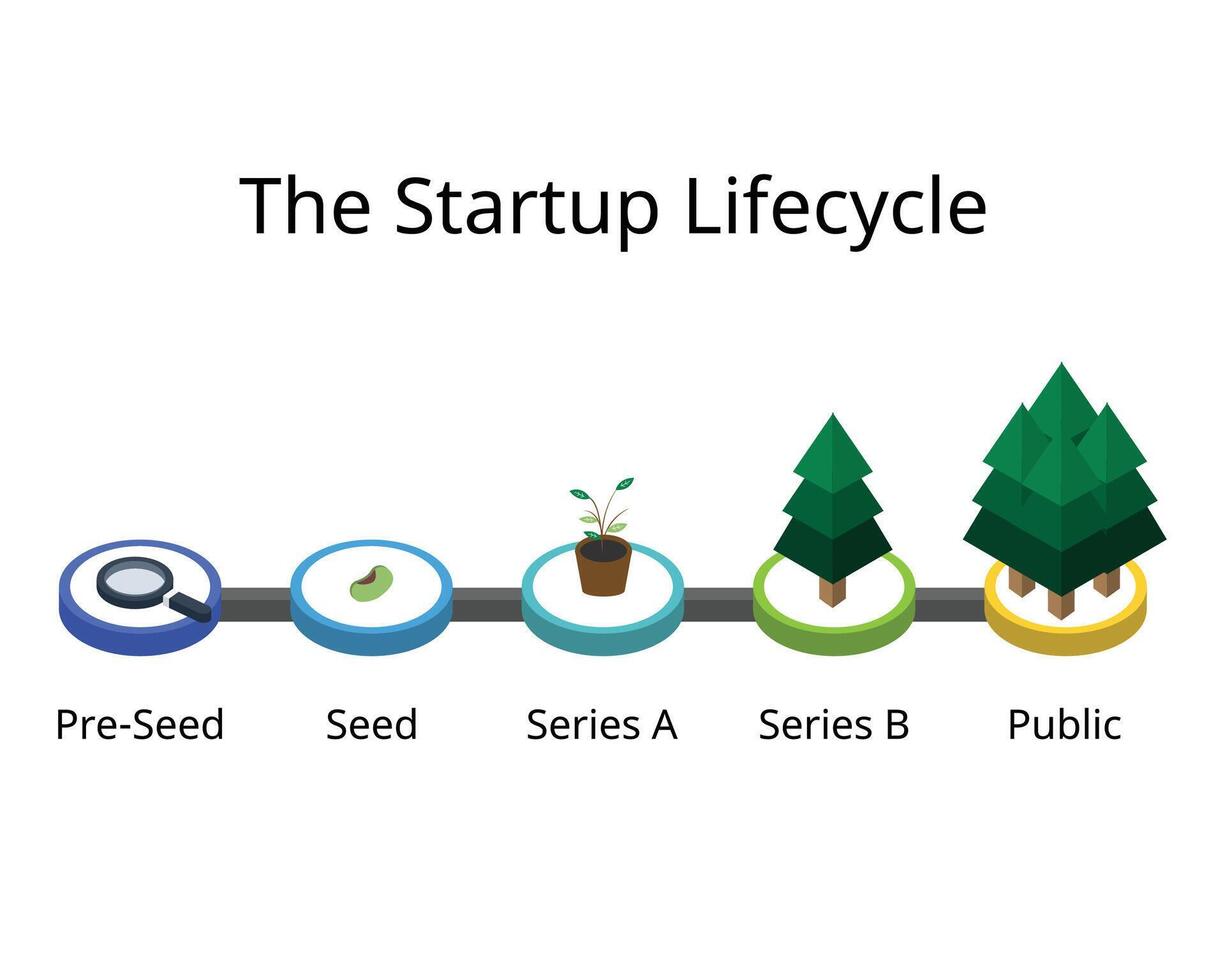 the startup lifecycle from pre seeds to seeding, series A, series B, public market vector