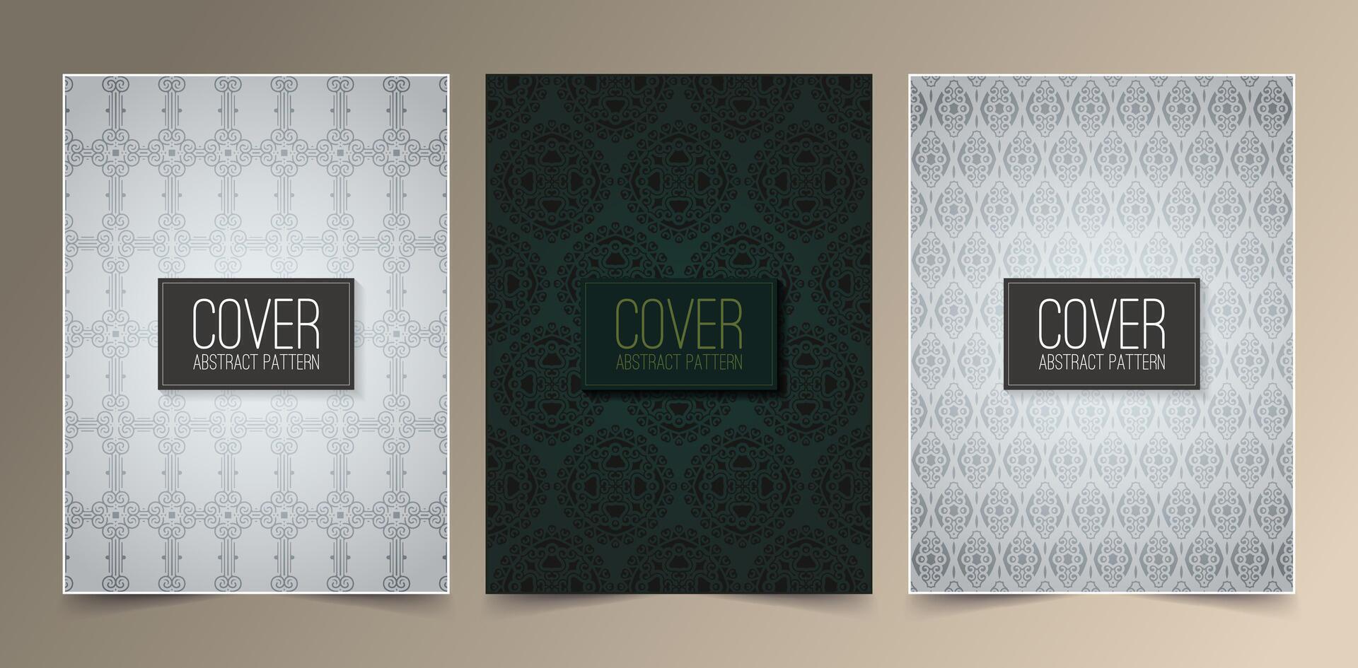 Luxury black and white background with border pattern vector