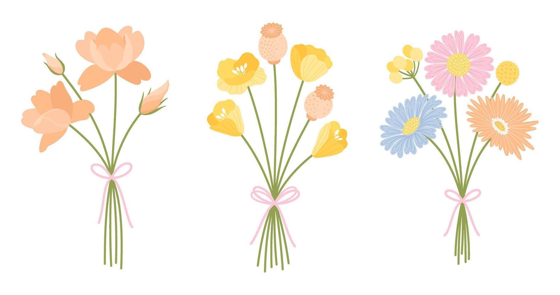 Set of three bunch wildflowers. Floral bouquet. Flowers tied with ribbon, illustration. Meadow herbs, and wild plants for design projects vector