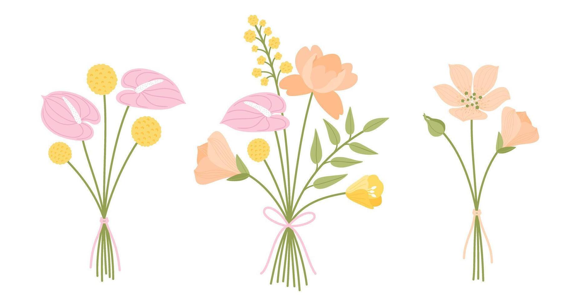 Wildflower bouquets set. Floral bouquets, illustration. Flowers tied with ribbons. Meadow herbs and wild plants for design projects vector