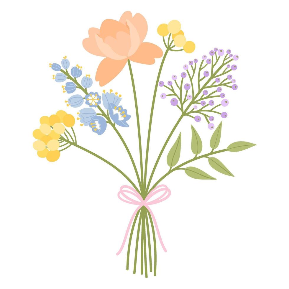 Bouquet of wildflowers. Floral illustration. Flowers tied with ribbon. Meadow herbs, and wild plants for design projects vector