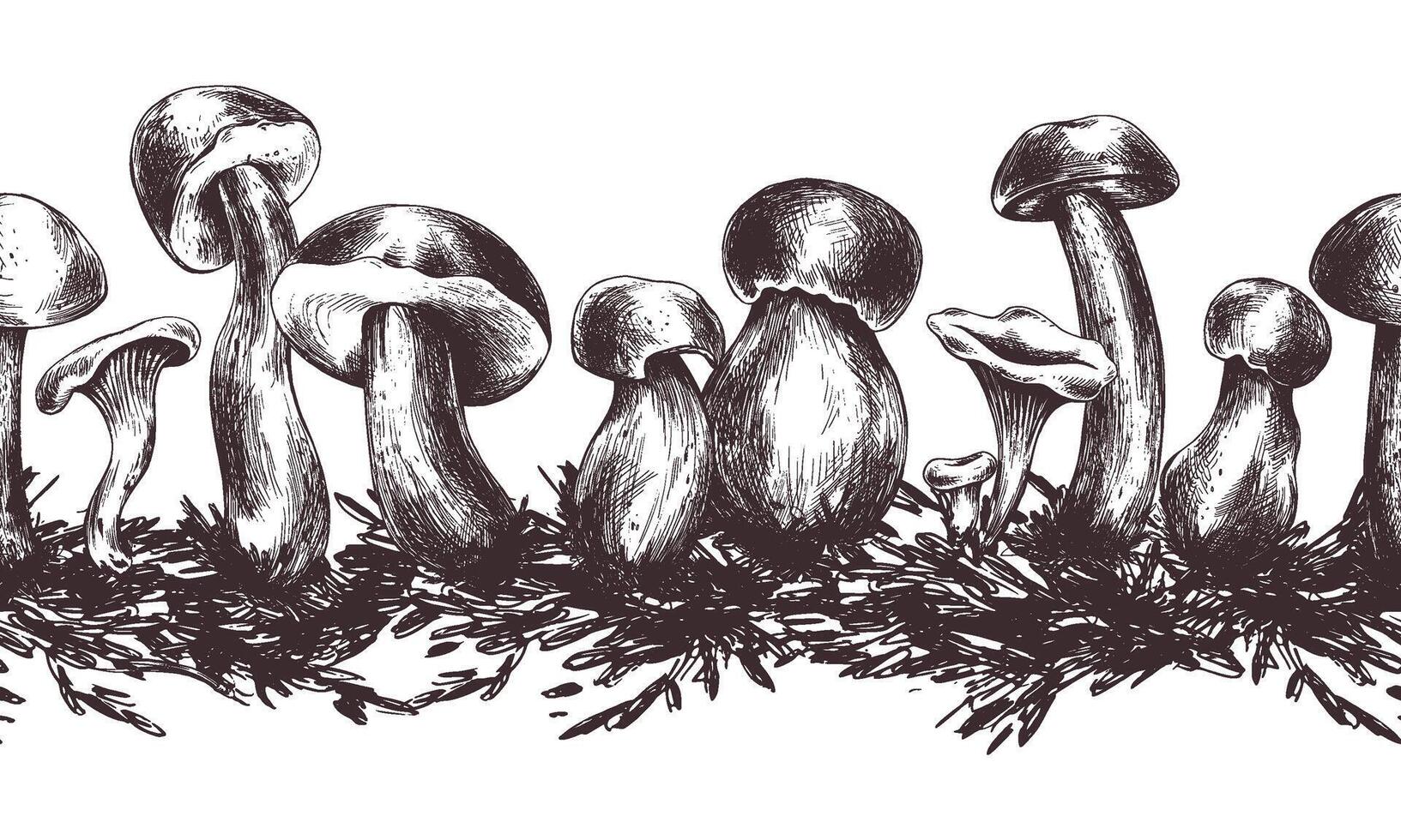 Forest edible mushrooms porchini, boletus, chanterelles with moss. Graphic illustration, hand drawn with brown ink, line art monochrome. Seamless board pattern on the theme of forest, harvest, nature. vector