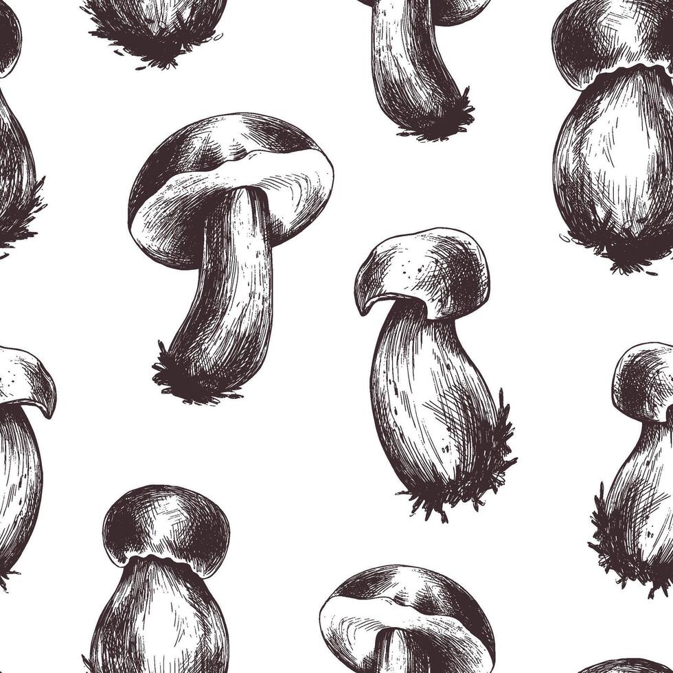 Forest edible boletus mushrooms with brown caps. Graphic illustration, hand drawn with brown ink, line art monochrome. Seamless pattern, simple on the theme of forest, harvest, nature. vector