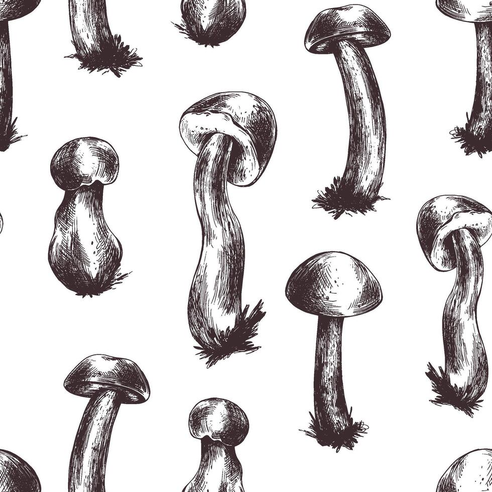 Forest edible boletus mushrooms with brown caps. Graphic illustration, hand drawn with brown ink, line art monochrome. Seamless pattern, simple on the theme of forest, harvest, nature. vector