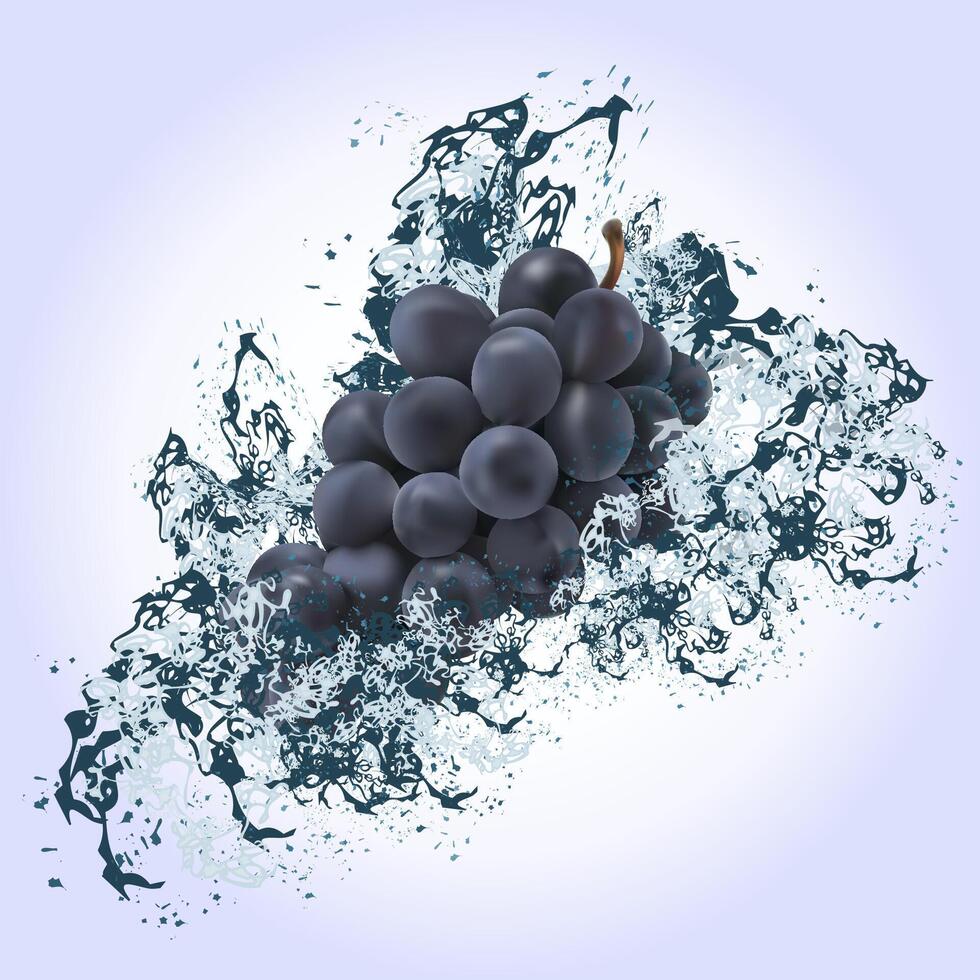 Grapes under splashes of water on a light background. vector