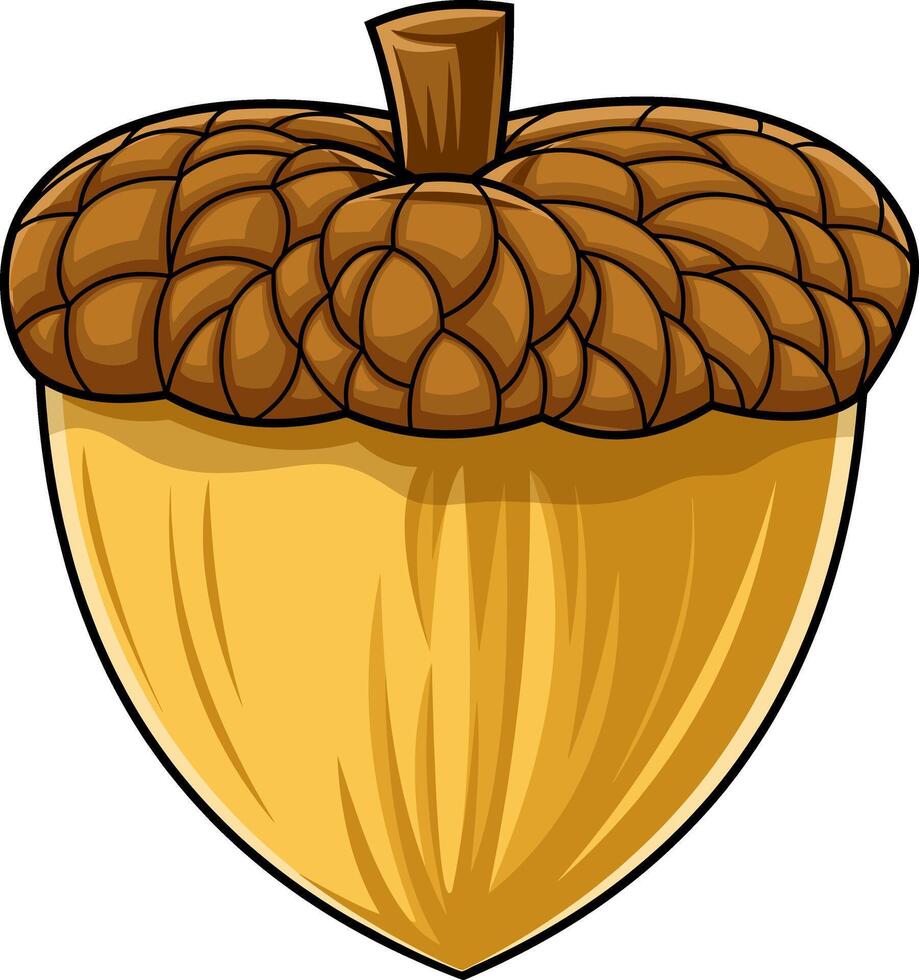 Cartoon Acorn In The Shell vector