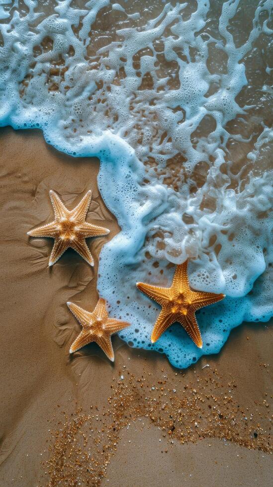 Starfish Resting on Sandy Beach by Ocean photo