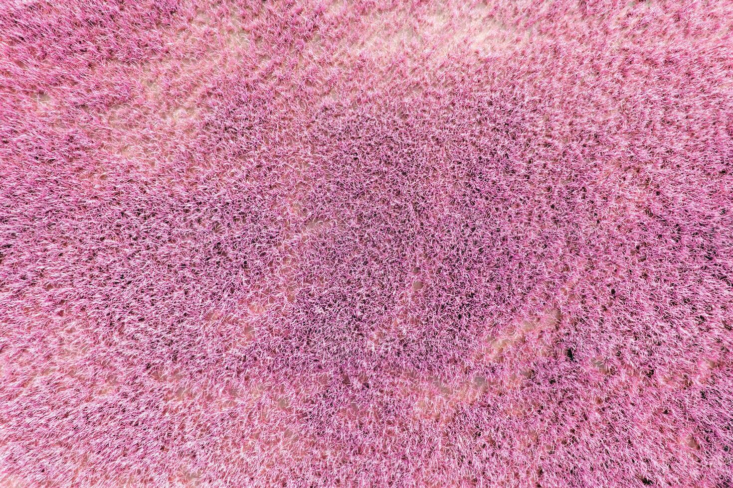 Pink Grass Texture photo