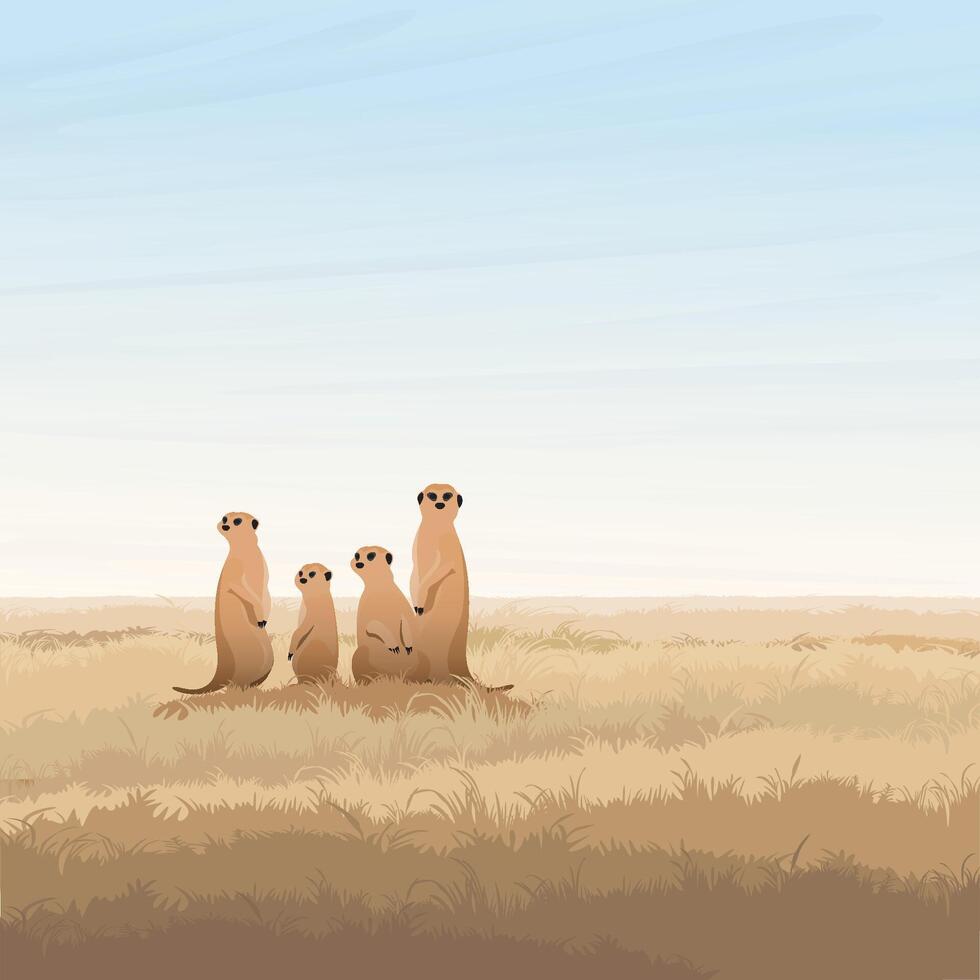 Meerkats family standing in savannah plains graphic illustrated have blank space. vector