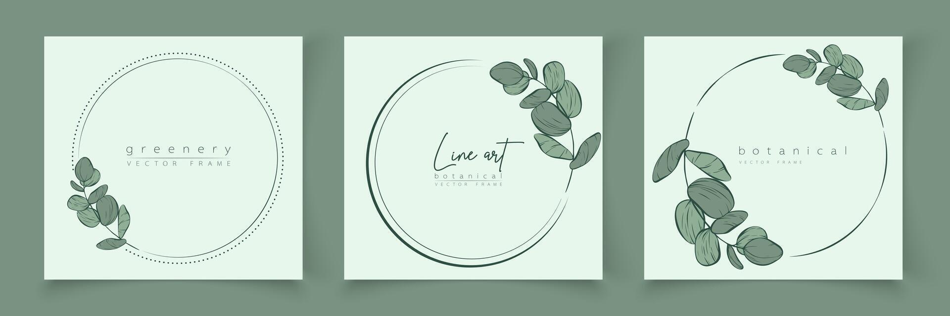Botanical eucalyptus frame set. Hand drawn round, rectangle, hexagon line border, leaves and flowers for wedding invitation and cards, logo design, social media and posters template. Elegant minimal. vector