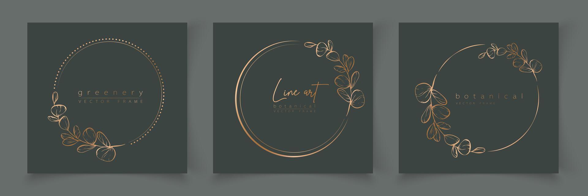 Botanical eucalyptus frame set. Hand drawn round, rectangle, hexagon line border, leaves and flowers for wedding invitation and cards, logo design, social media and posters template. Elegant minimal. vector