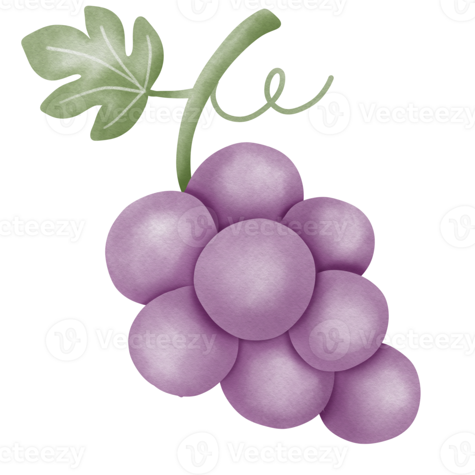fruit food juicy png