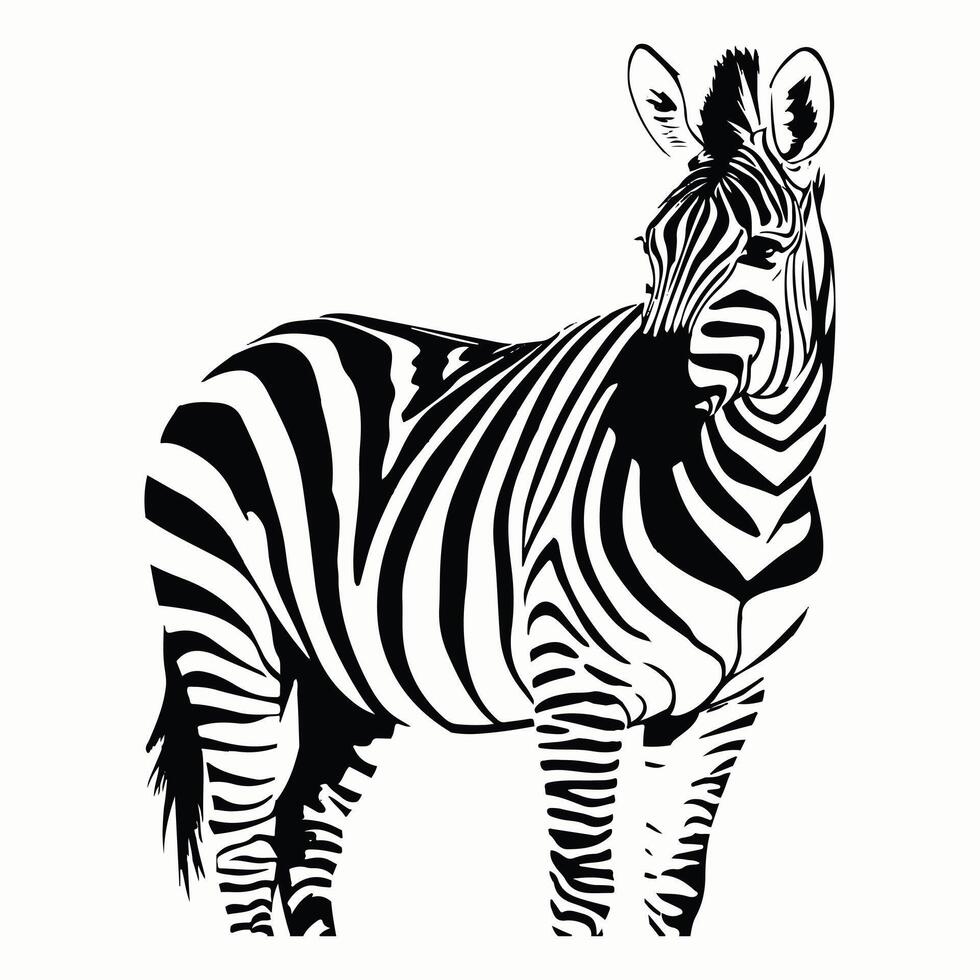 Illustrator Zebra design vector