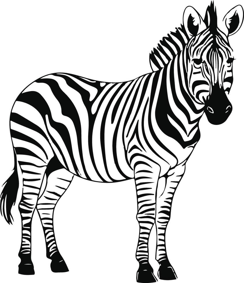 Illustrator Zebra design vector