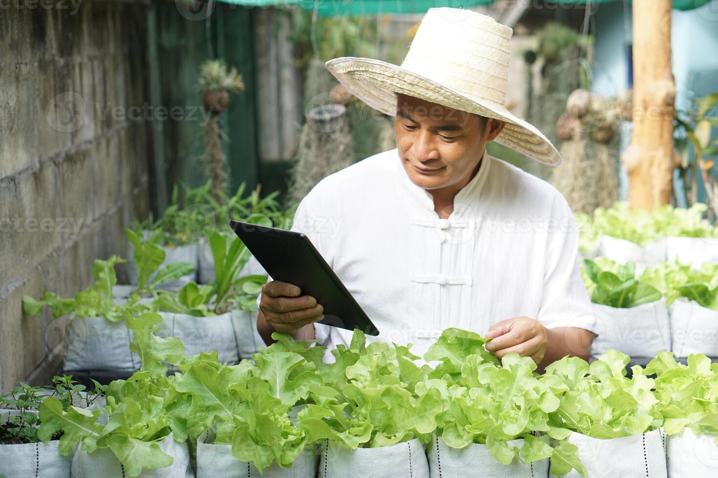 Asian man gardener is checking and inspecting quality, growth and plant diseases of organic salad vegetables by using smart tablet. Concept, Agriculture research. Learn from internet to develop crops. photo