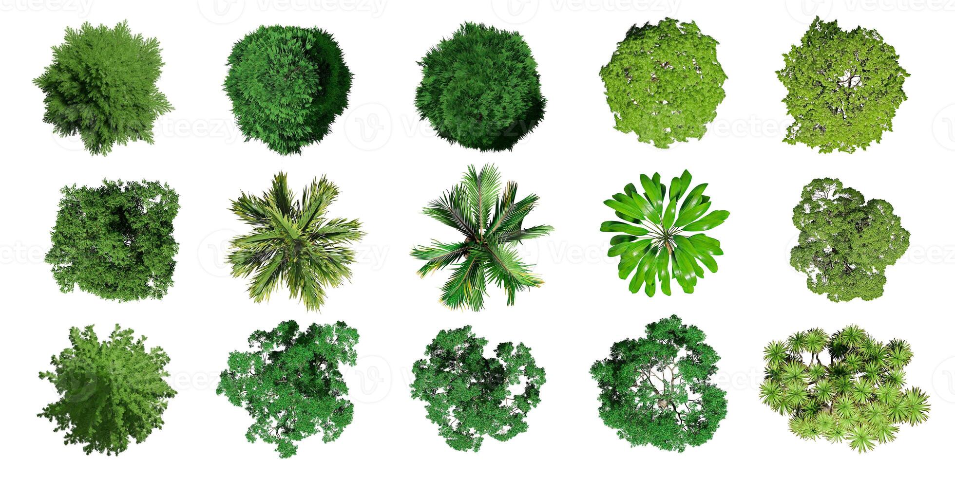 Collection of 3D Top view Green Trees Isolated on white background , Use for visualization in architectural design or garden decorate photo