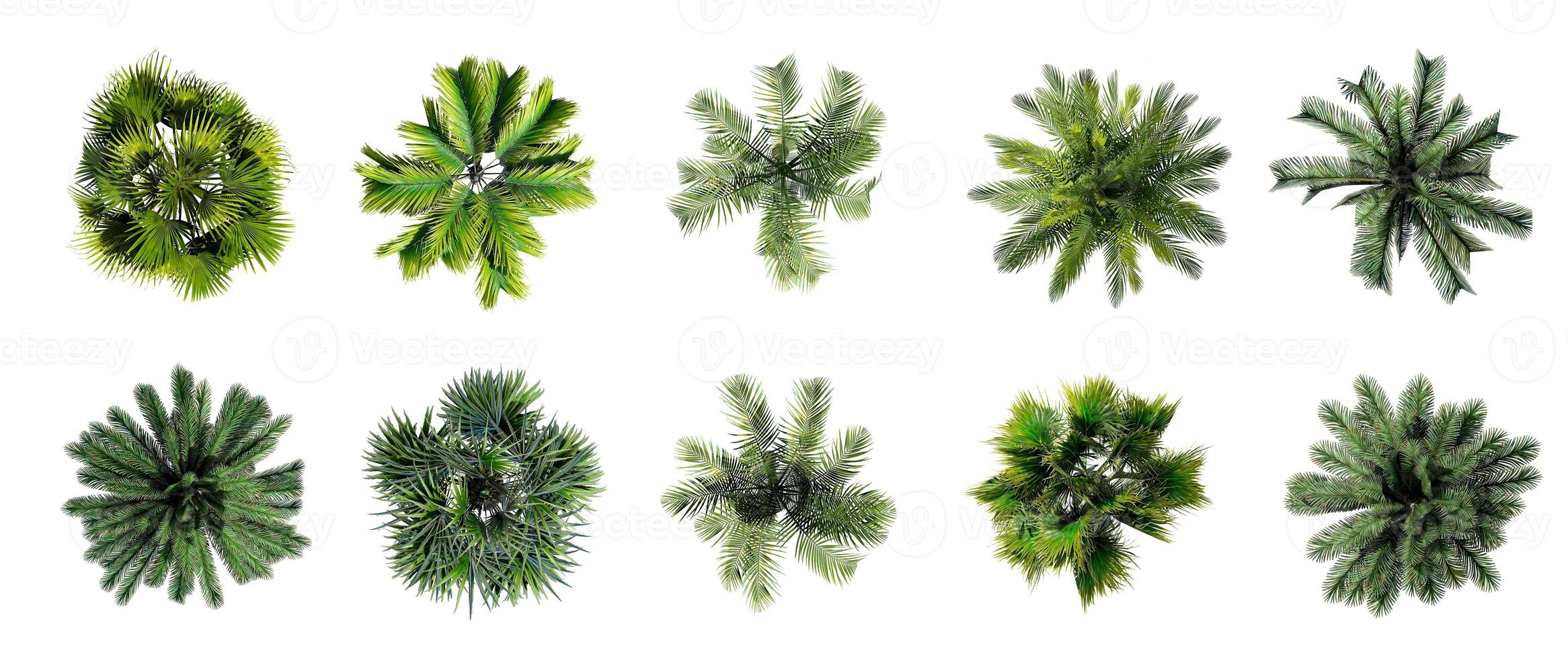 Collection of 3D Top view Green Trees Isolated on white background , Use for visualization in architectural design or garden decorate photo