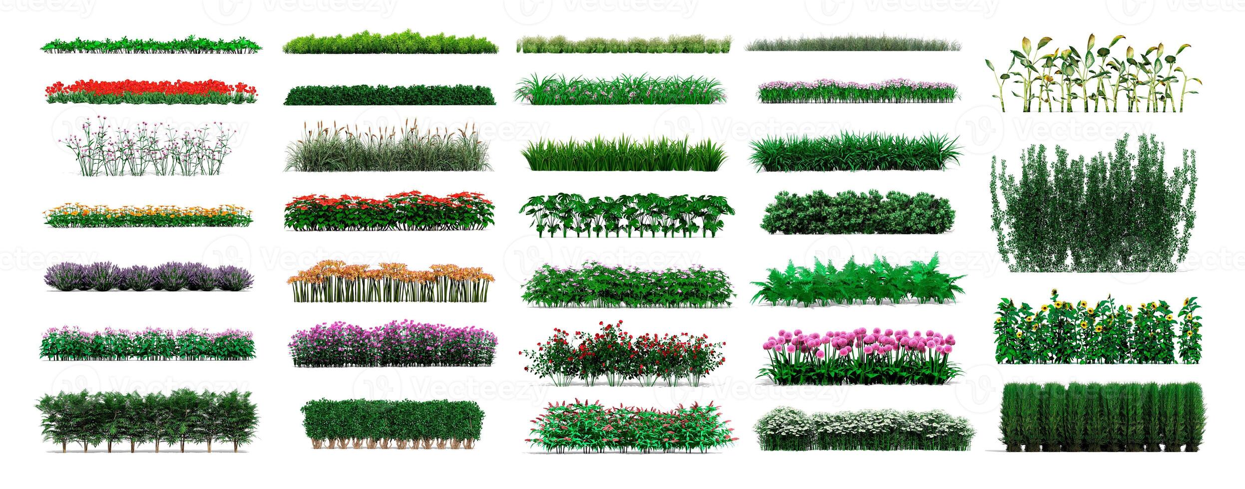 collection 3d flower green grass Isolated on white background , Use for visualization in architectural design or garden decorate photo