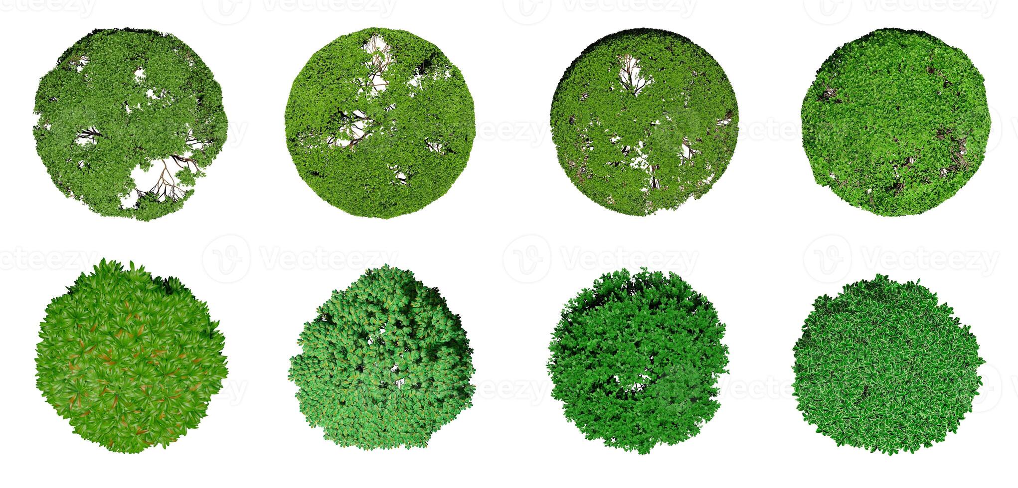 Collection of 3D Top view Green Trees Isolated on white background , Use for visualization in architectural design or garden decorate photo