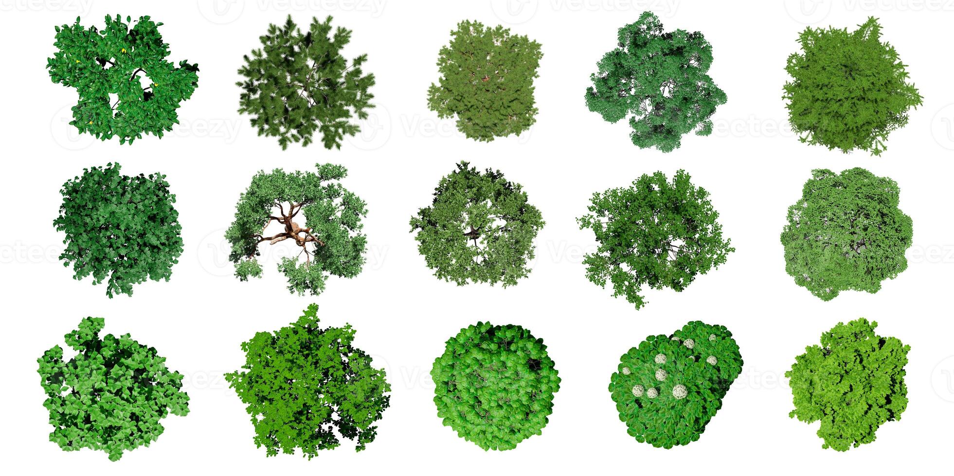 Collection of 3D Top view Green Trees Isolated on white background , Use for visualization in architectural design or garden decorate photo