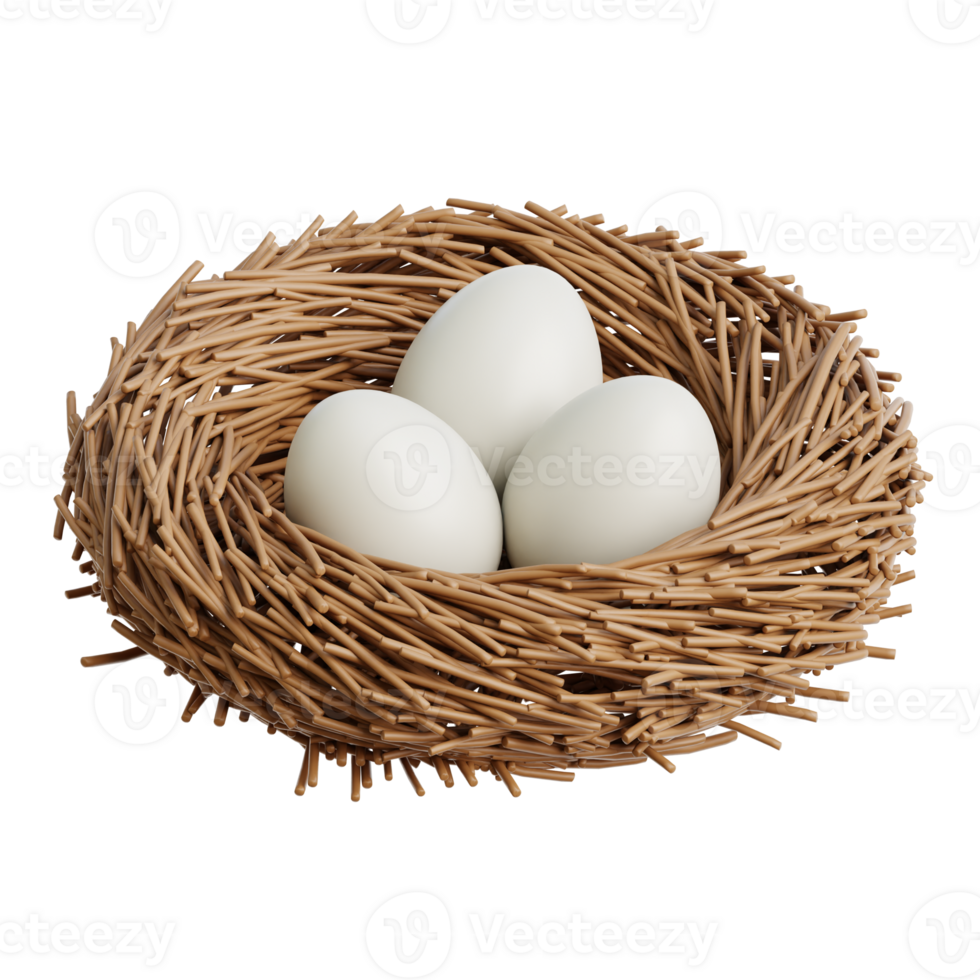 Bird Nest 3d Illustration png