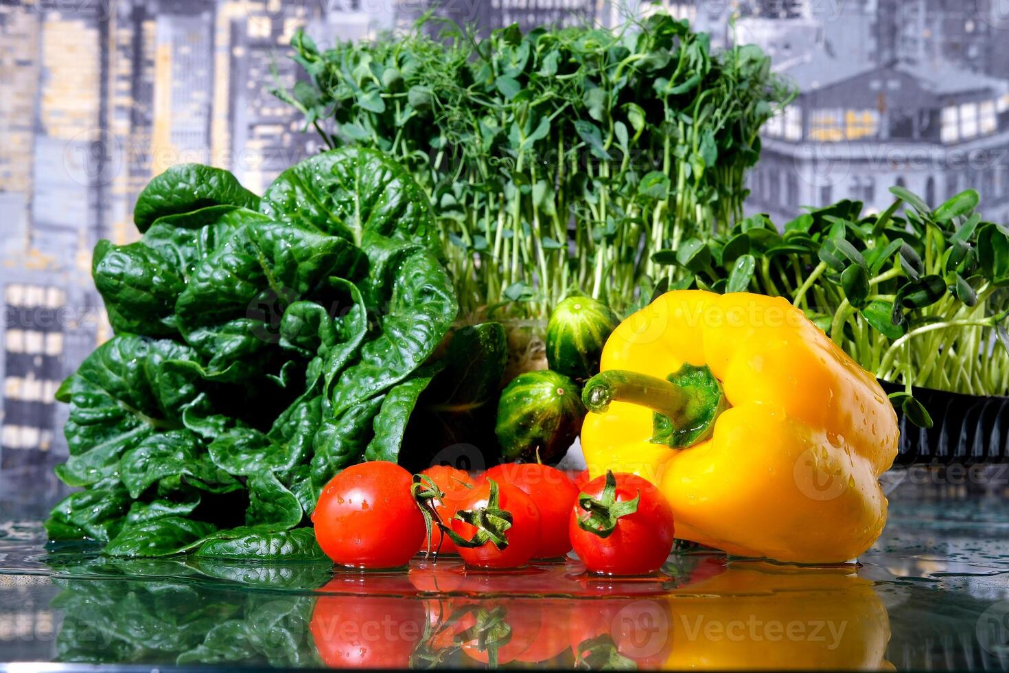 fresh farm vegetables. tomatoes, bell peppers, cucumbers, basil green onions and parsley with dill in drops of water. studio shooting, movements filmed with a slider, macro photography. photo