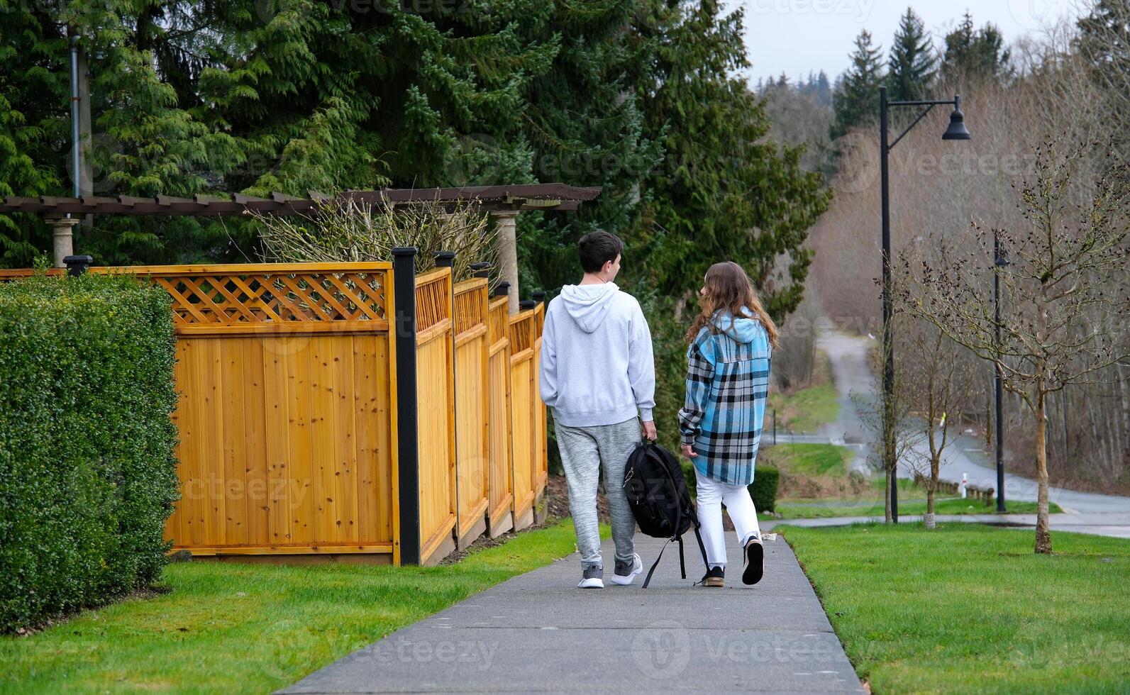 Couple in love walks in the park on a summer day. Park. photo