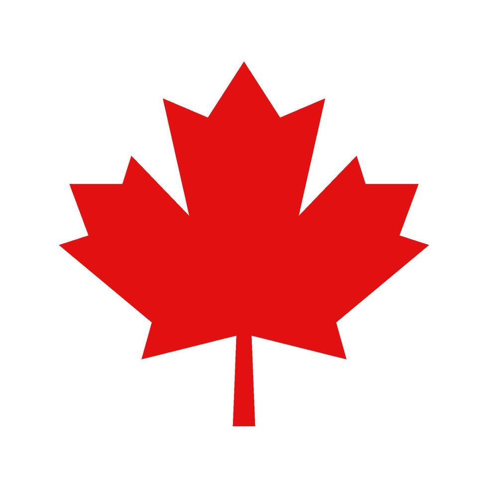 Canadian maple leaf on white background vector