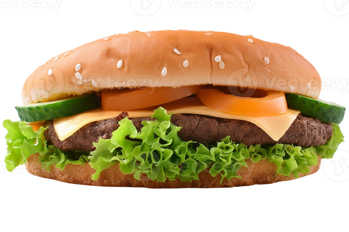a hamburger, illustration png