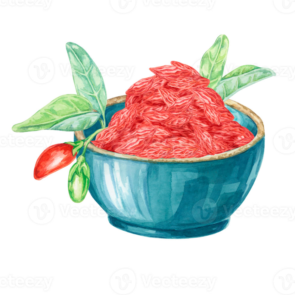 Ceramic bowl with red dry goji berries.Hand-drawn watercolor clipart of red and green licium barbarum fruits and leaves. Design for printing, packaging, cards, food supplements isolated on white. png