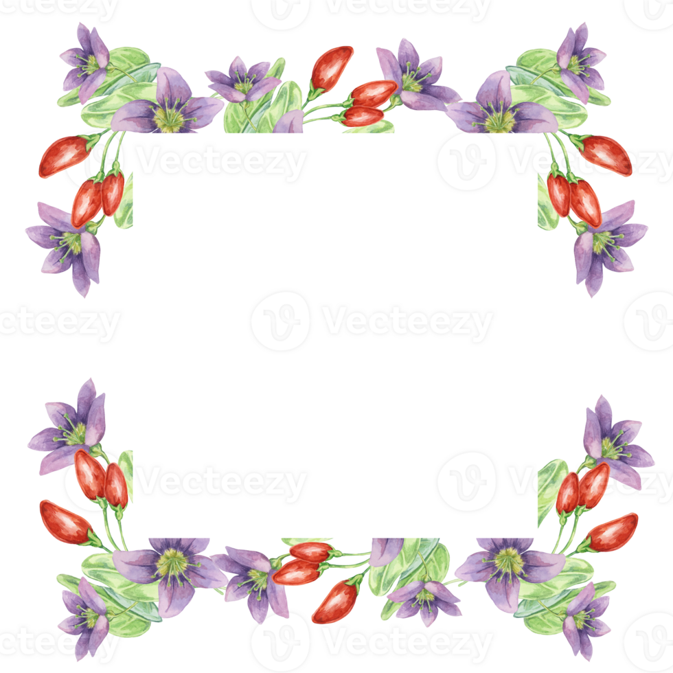 Red goji berries, lilac flowers and green leaves square frame design. Hand-drawn watercolor illustration for DIY printing, greeting card making, quote, gift tag, label, postcard, flyer template png