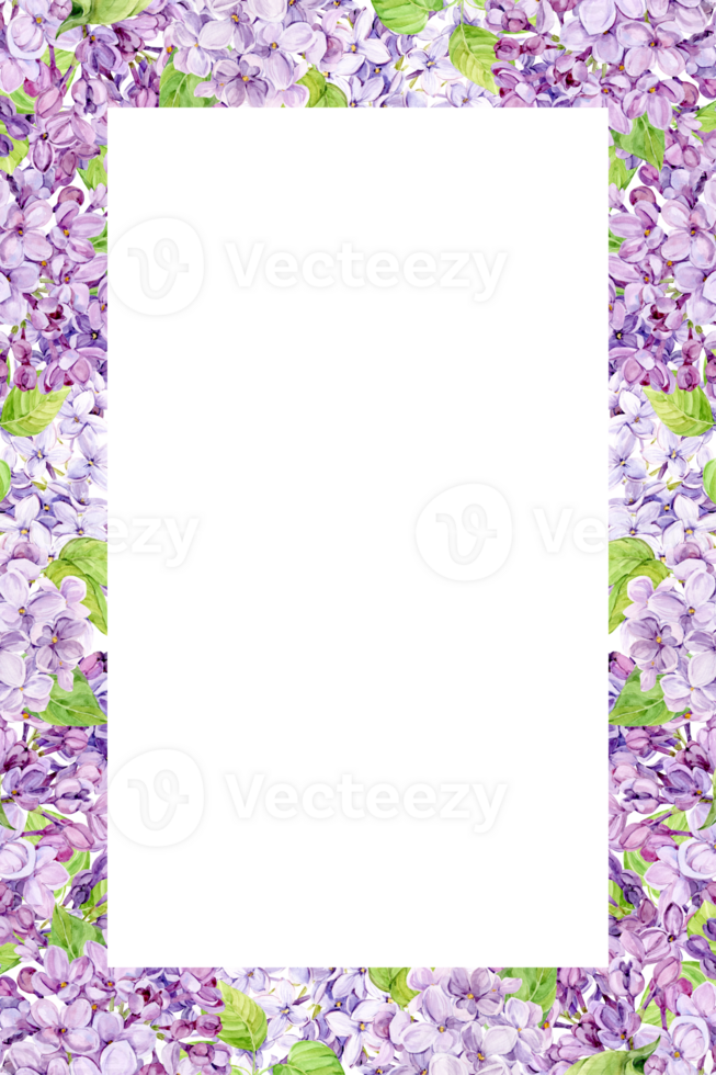Watercolor frame with purple lilac on a transparent background. Vertical border of spring flowers in lavender color. Create Provence Style Wedding Invitations, Save the Date or Invitations. png
