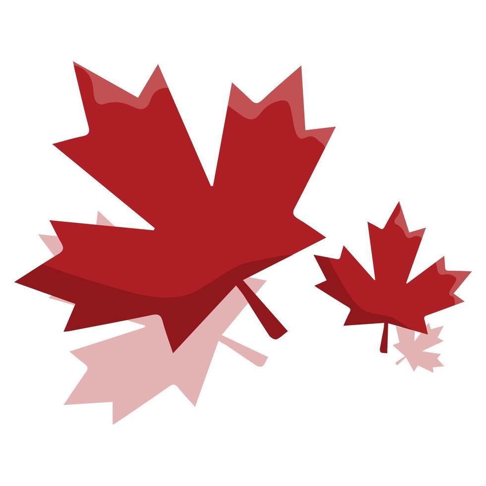 country day card with maple leaves. Canada day card. Background with Canadian maple leaves. Canadian flag. vector