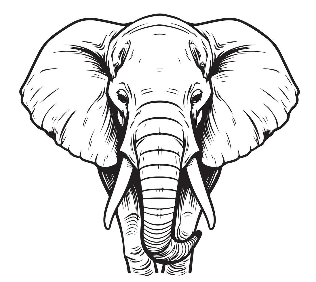 Elephant face sketch vector