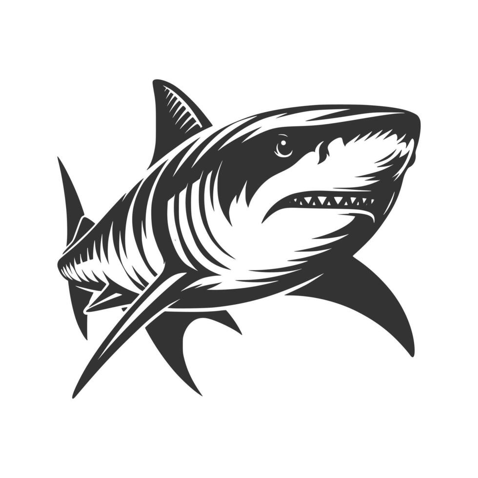 Free shark Art Illustration vector