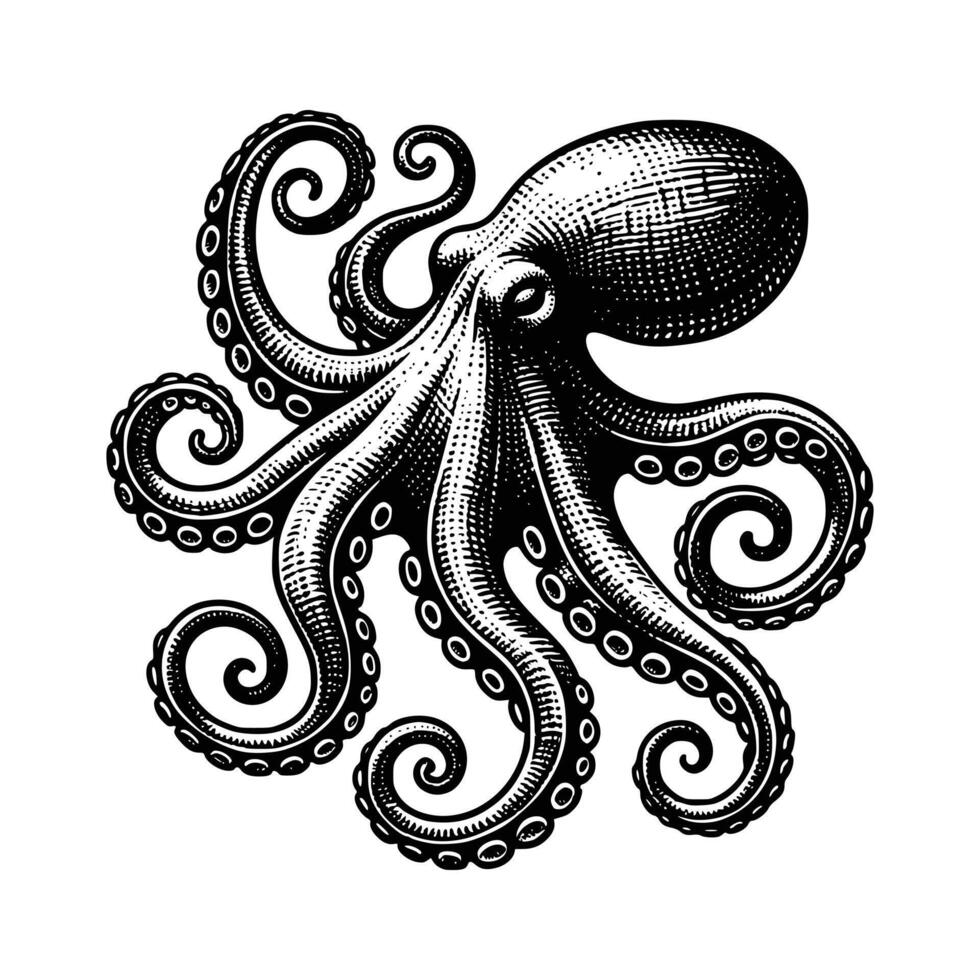 Free octopus Art Illustration vector