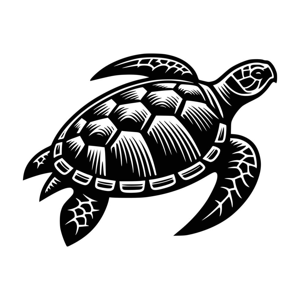 Free Turtle Art Illustration vector