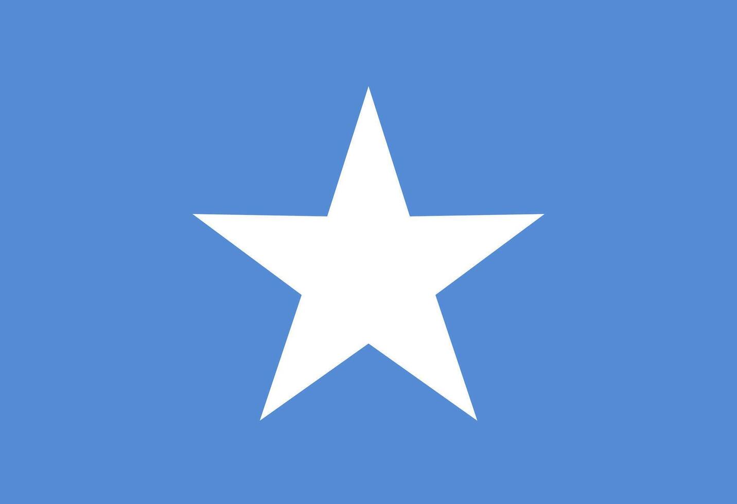 Somalian flag illustrator country flags vector