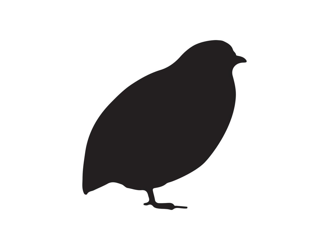 Quail bird silhouette on white background vector