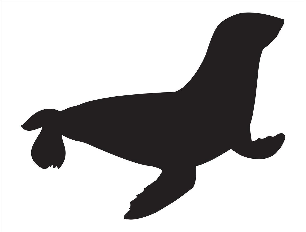 Seal animal silhouette on white background vector