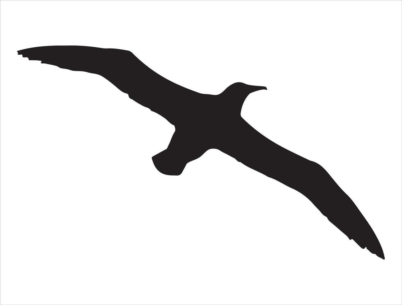 Albatross silhouette on white background vector