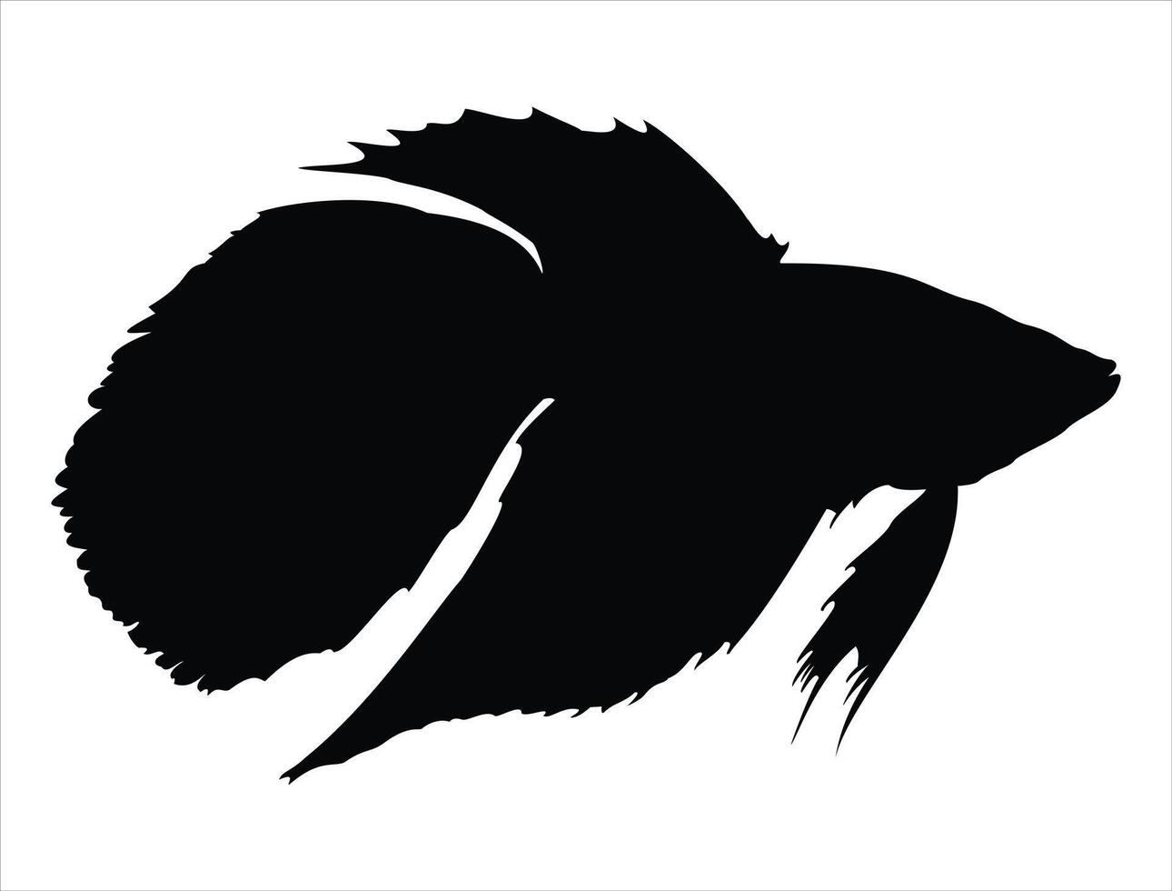 Betta fish silhouette on white background vector