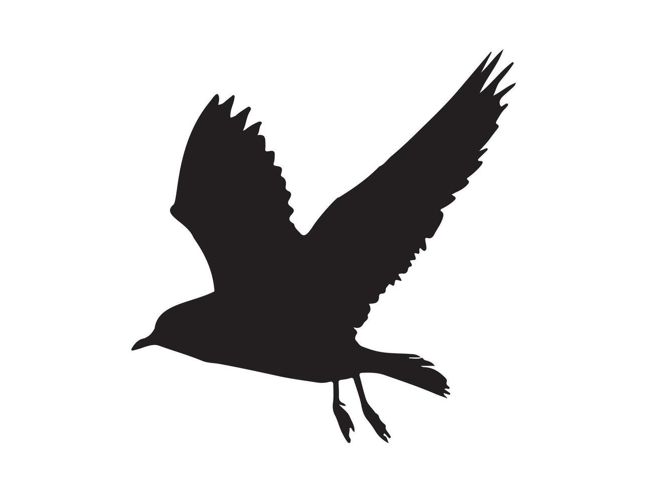 Seagull silhouette on white background vector