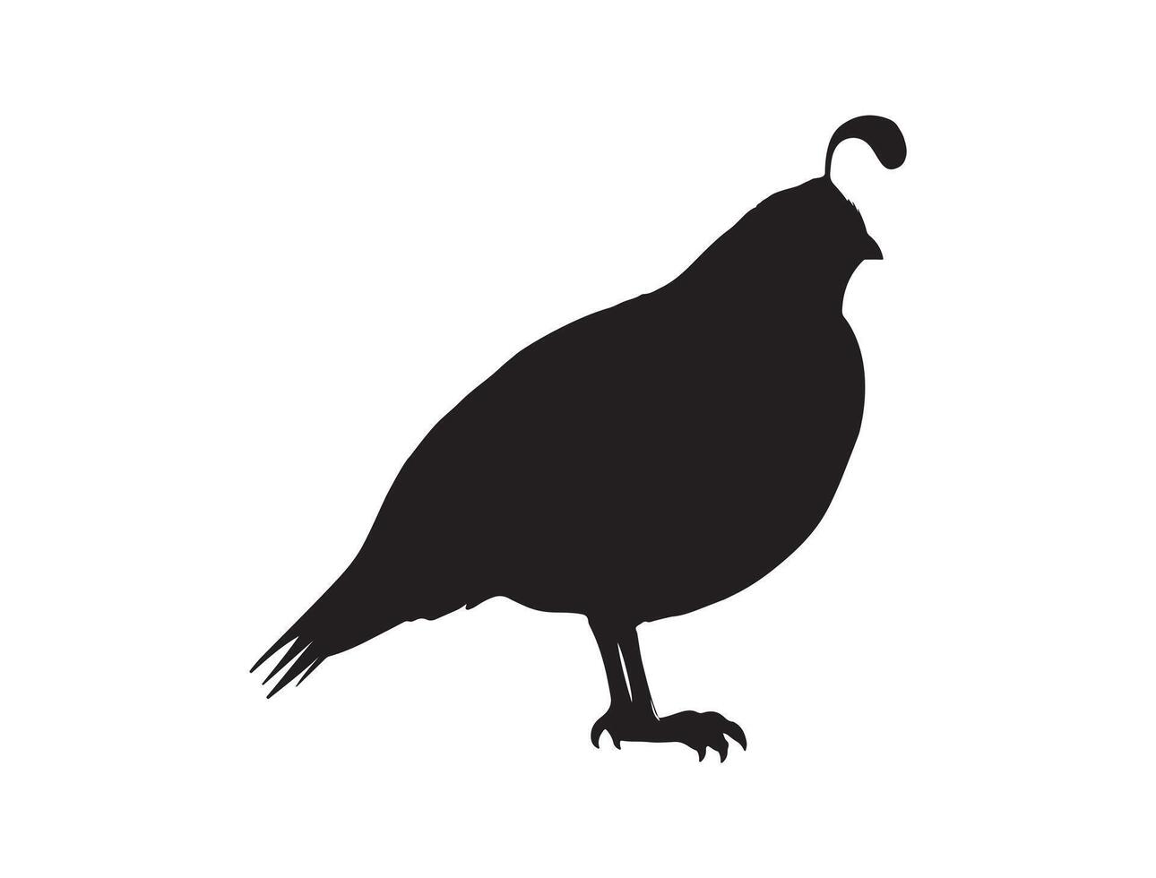 Quail bird silhouette on white background vector