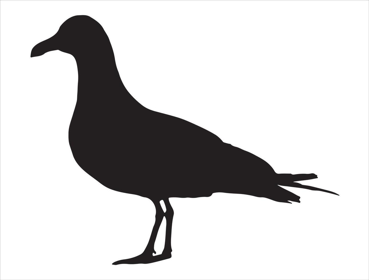 Albatross silhouette on white background vector