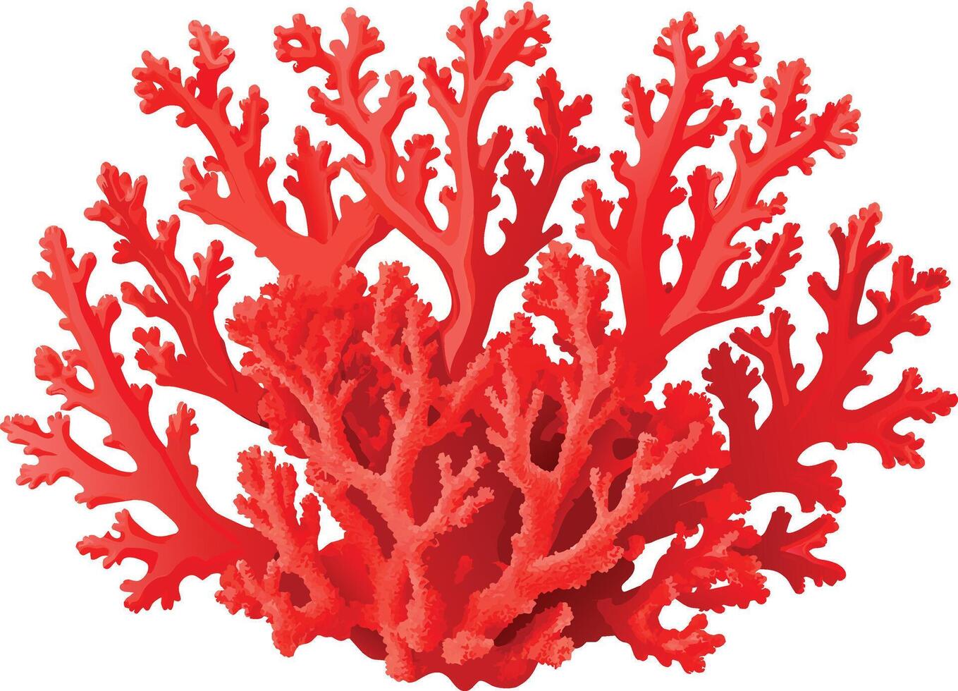 Vibrant red coral growing underwater vector