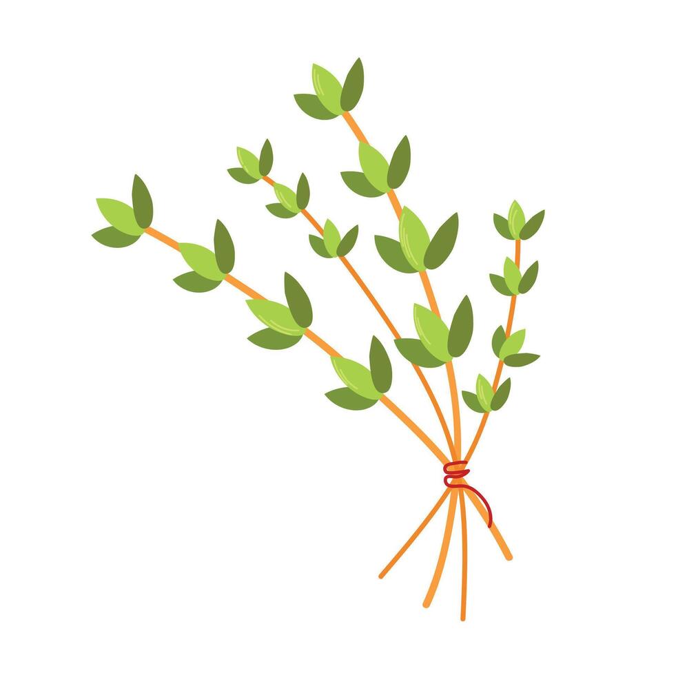 Thyme icon clipart avatar logotype isolated illustration vector