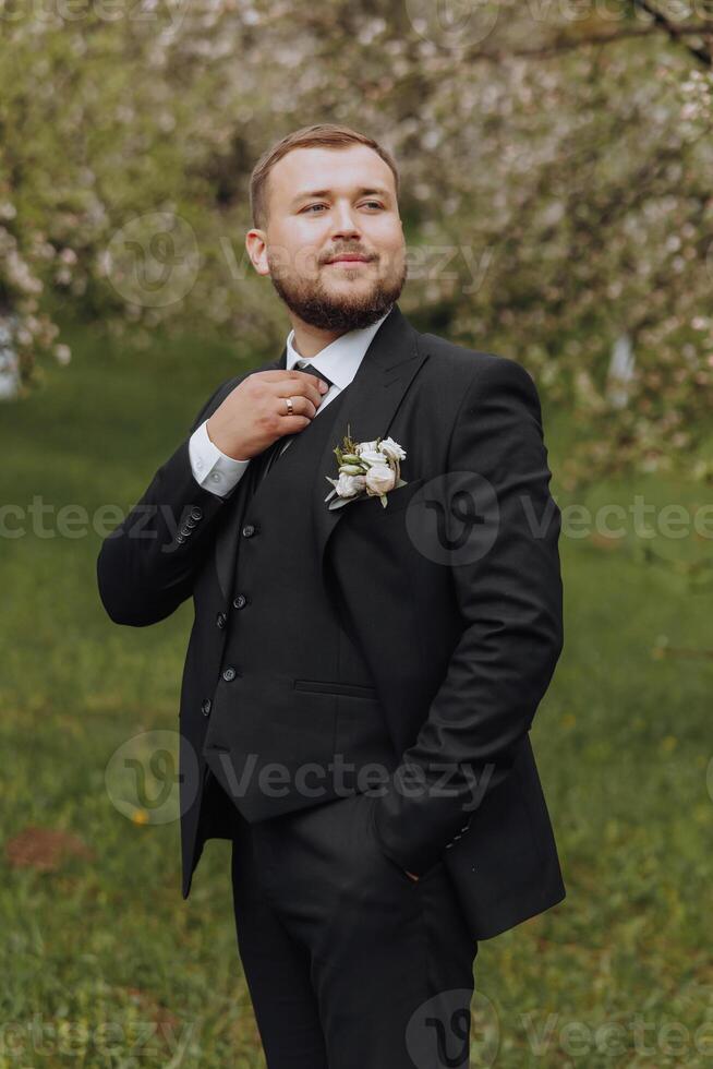 The groom dressed in a black suit walks forward on green grass in nature. An elegant man in a classic black suit. Portrait of a man photo