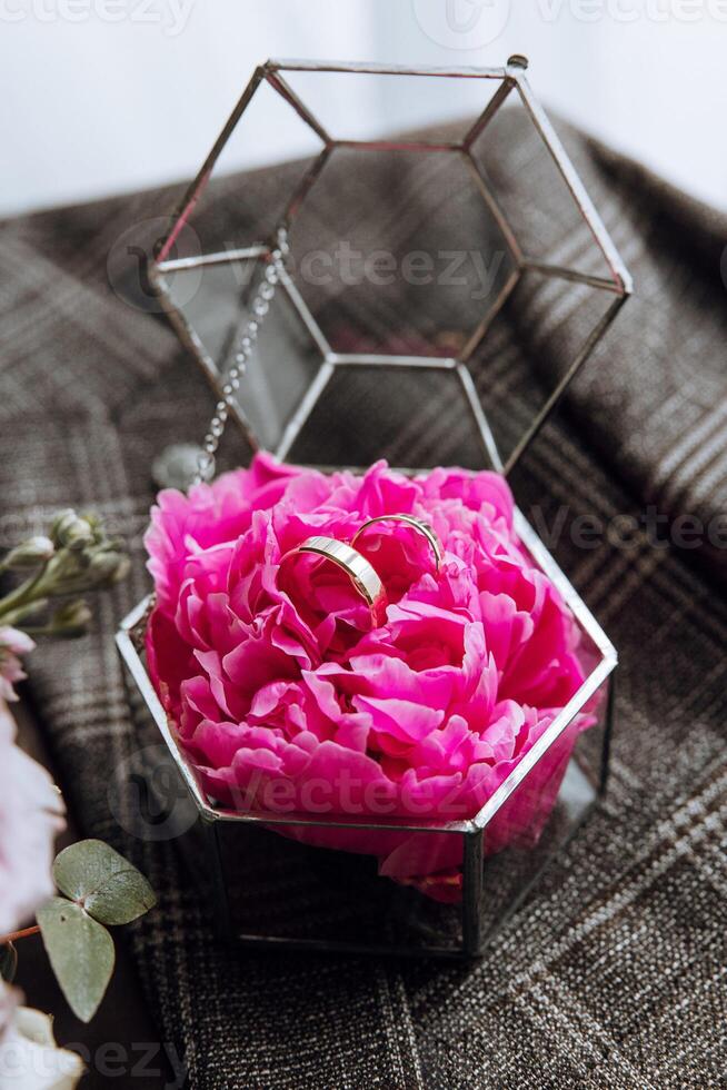 A pink flower with two rings on it is in a glass container photo