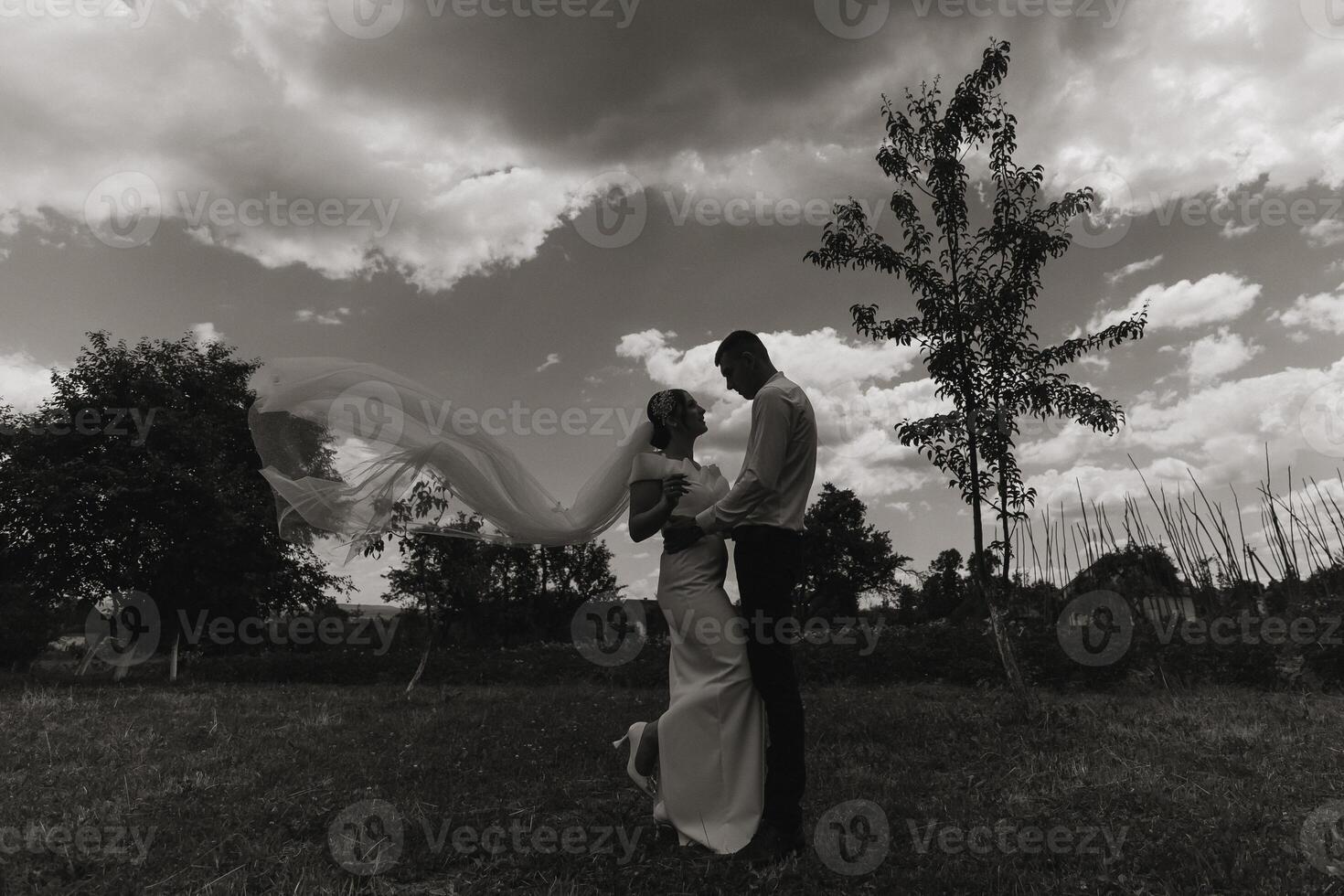 A couple is standing in a field with a tree behind them photo